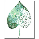 Painting by Numbers Veiled Leaf